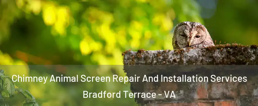 Chimney Animal Screen Repair And Installation Services Bradford Terrace - VA