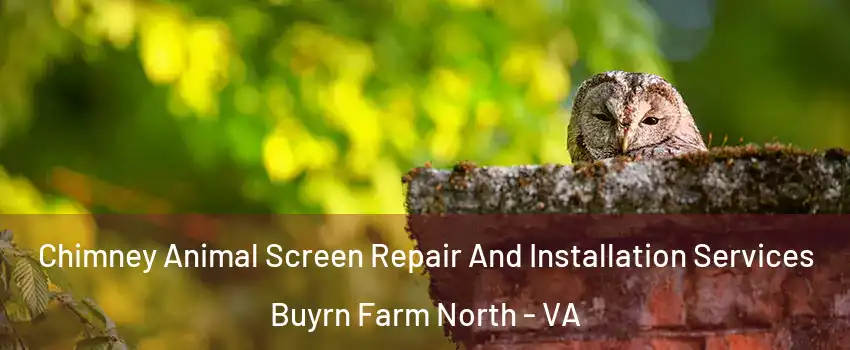 Chimney Animal Screen Repair And Installation Services Buyrn Farm North - VA