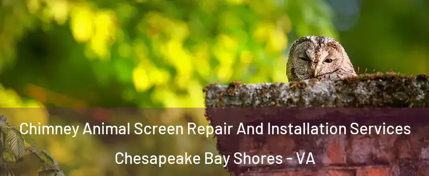 Chimney Animal Screen Repair And Installation Services Chesapeake Bay Shores - VA