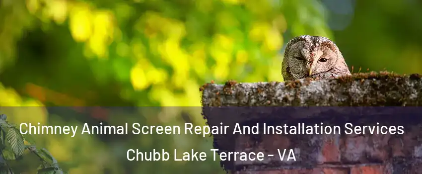 Chimney Animal Screen Repair And Installation Services Chubb Lake Terrace - VA