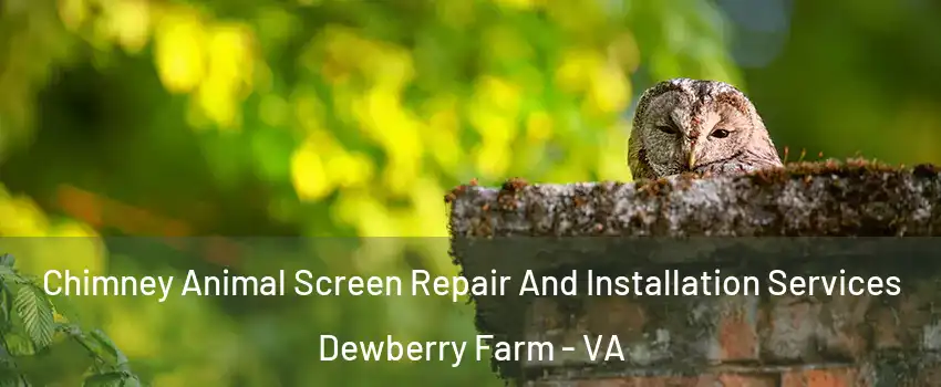 Chimney Animal Screen Repair And Installation Services Dewberry Farm - VA