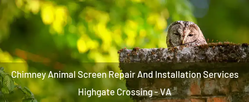 Chimney Animal Screen Repair And Installation Services Highgate Crossing - VA