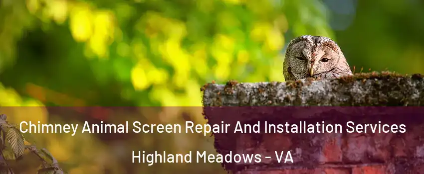 Chimney Animal Screen Repair And Installation Services Highland Meadows - VA