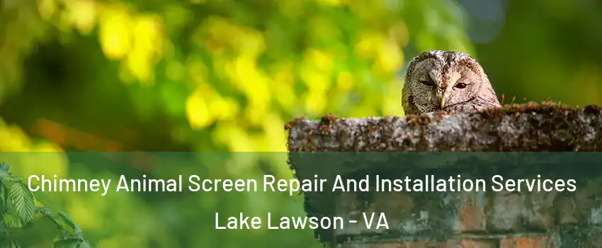 Chimney Animal Screen Repair And Installation Services Lake Lawson - VA
