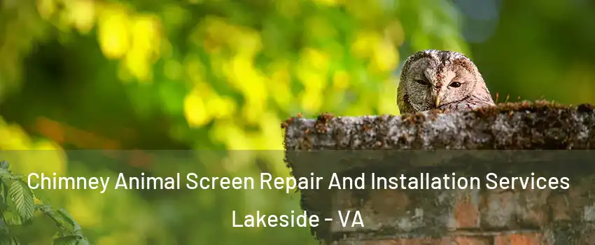 Chimney Animal Screen Repair And Installation Services Lakeside - VA
