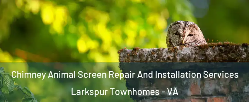 Chimney Animal Screen Repair And Installation Services Larkspur Townhomes - VA