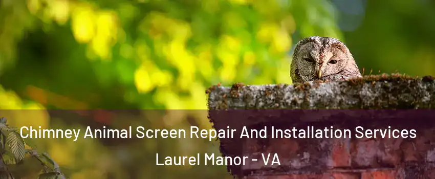 Chimney Animal Screen Repair And Installation Services Laurel Manor - VA