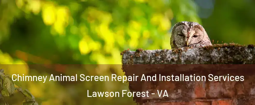 Chimney Animal Screen Repair And Installation Services Lawson Forest - VA
