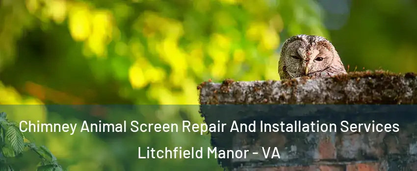 Chimney Animal Screen Repair And Installation Services Litchfield Manor - VA