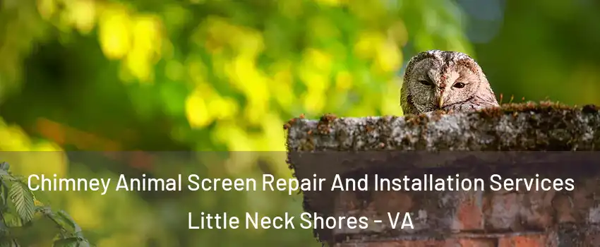 Chimney Animal Screen Repair And Installation Services Little Neck Shores - VA