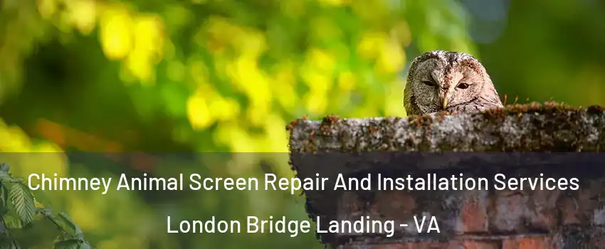 Chimney Animal Screen Repair And Installation Services London Bridge Landing - VA