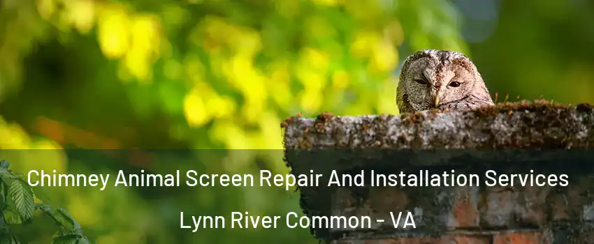 Chimney Animal Screen Repair And Installation Services Lynn River Common - VA