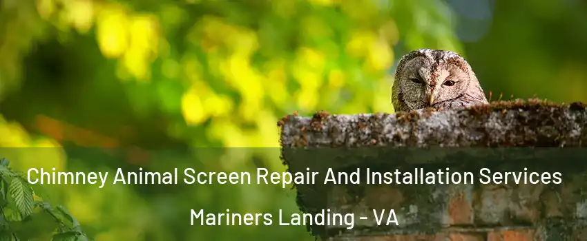 Chimney Animal Screen Repair And Installation Services Mariners Landing - VA