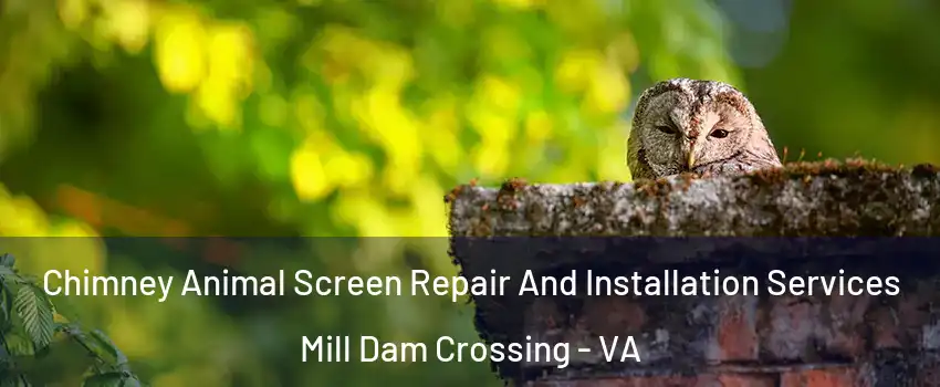 Chimney Animal Screen Repair And Installation Services Mill Dam Crossing - VA