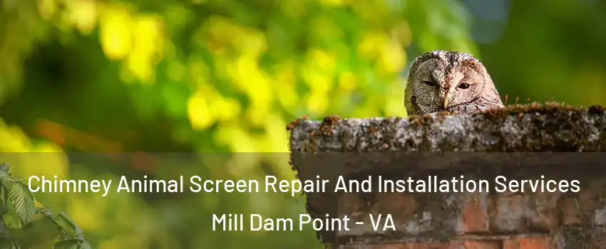Chimney Animal Screen Repair And Installation Services Mill Dam Point - VA