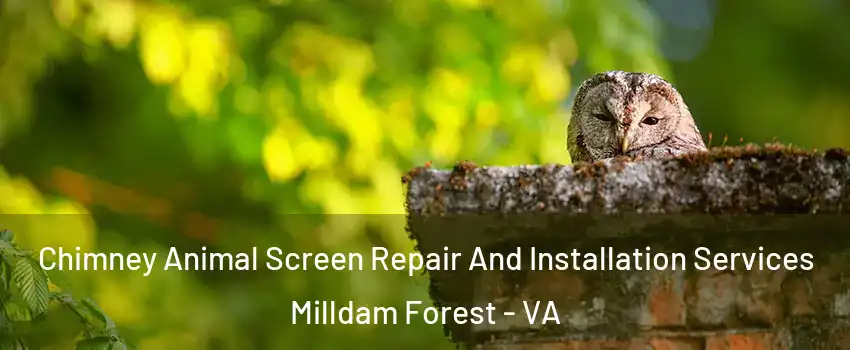 Chimney Animal Screen Repair And Installation Services Milldam Forest - VA