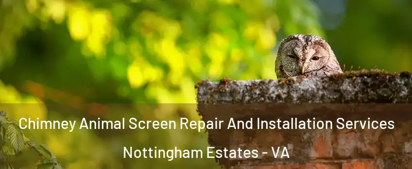 Chimney Animal Screen Repair And Installation Services Nottingham Estates - VA