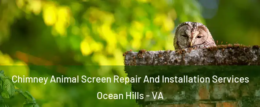 Chimney Animal Screen Repair And Installation Services Ocean Hills - VA