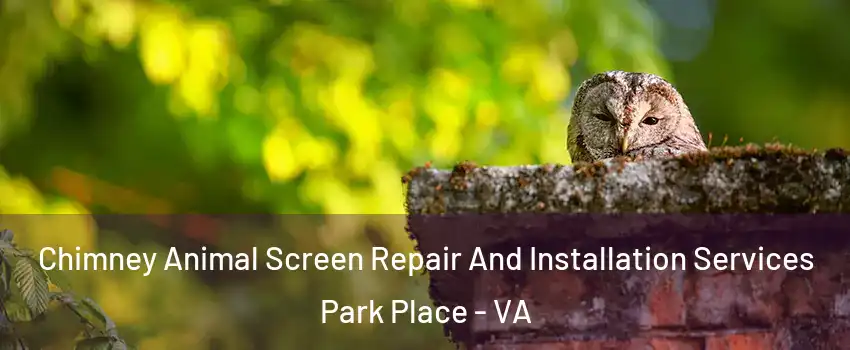 Chimney Animal Screen Repair And Installation Services Park Place - VA