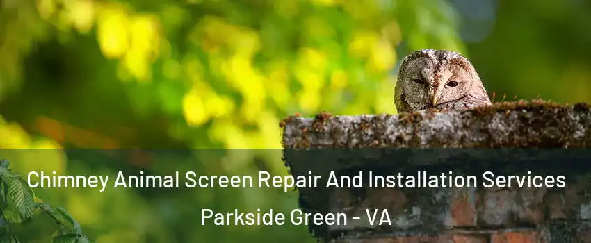 Chimney Animal Screen Repair And Installation Services Parkside Green - VA