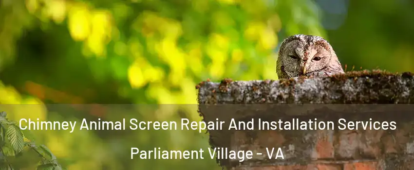 Chimney Animal Screen Repair And Installation Services Parliament Village - VA