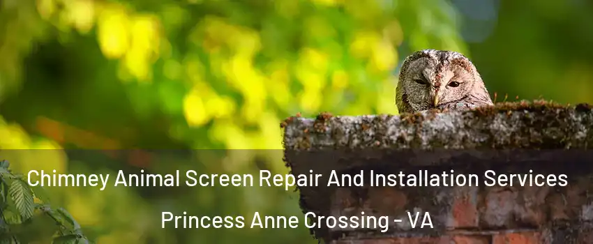 Chimney Animal Screen Repair And Installation Services Princess Anne Crossing - VA
