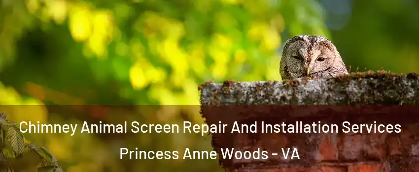 Chimney Animal Screen Repair And Installation Services Princess Anne Woods - VA
