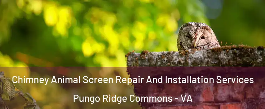 Chimney Animal Screen Repair And Installation Services Pungo Ridge Commons - VA