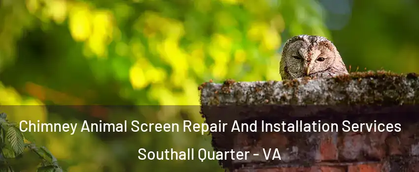 Chimney Animal Screen Repair And Installation Services Southall Quarter - VA