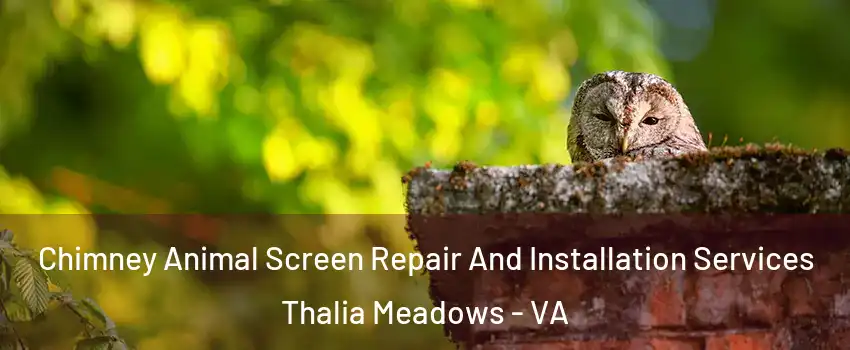Chimney Animal Screen Repair And Installation Services Thalia Meadows - VA