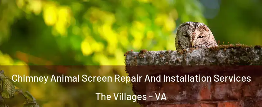 Chimney Animal Screen Repair And Installation Services The Villages - VA