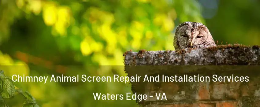 Chimney Animal Screen Repair And Installation Services Waters Edge - VA