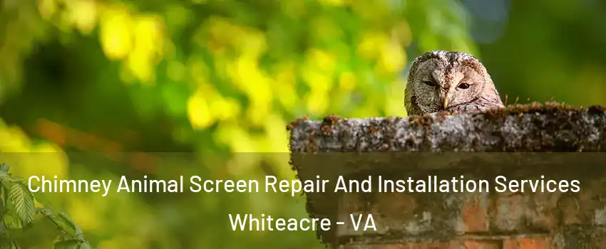 Chimney Animal Screen Repair And Installation Services Whiteacre - VA