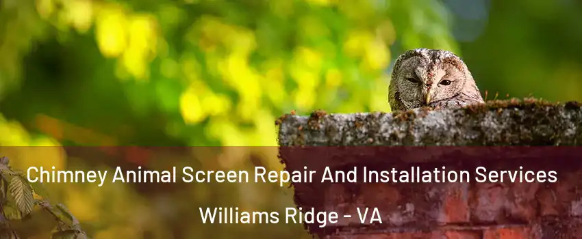 Chimney Animal Screen Repair And Installation Services Williams Ridge - VA