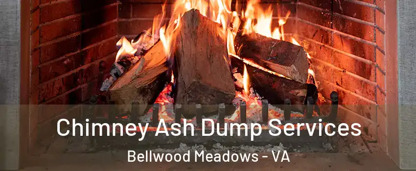 Chimney Ash Dump Services Bellwood Meadows - VA