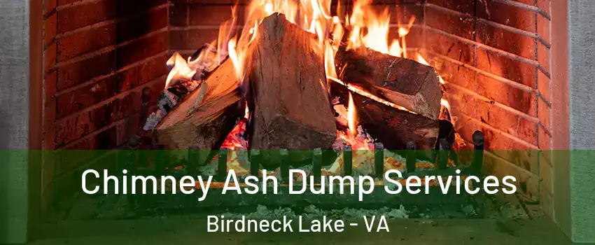 Chimney Ash Dump Services Birdneck Lake - VA
