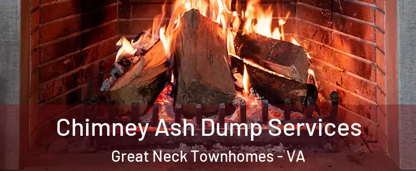 Chimney Ash Dump Services Great Neck Townhomes - VA