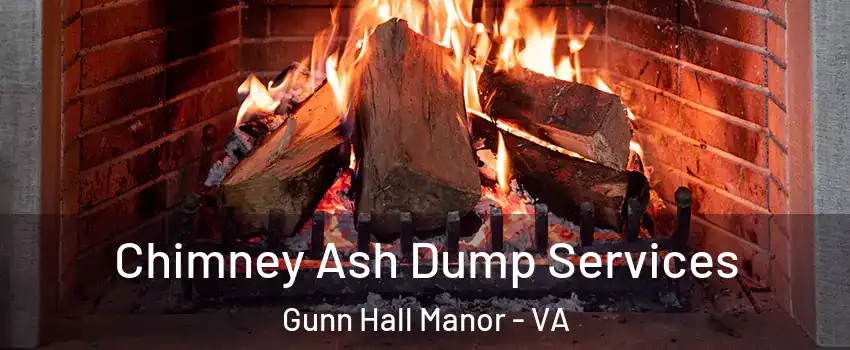 Chimney Ash Dump Services Gunn Hall Manor - VA