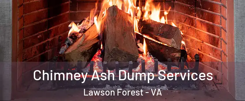 Chimney Ash Dump Services Lawson Forest - VA