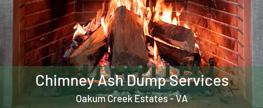 Chimney Ash Dump Services Oakum Creek Estates - VA