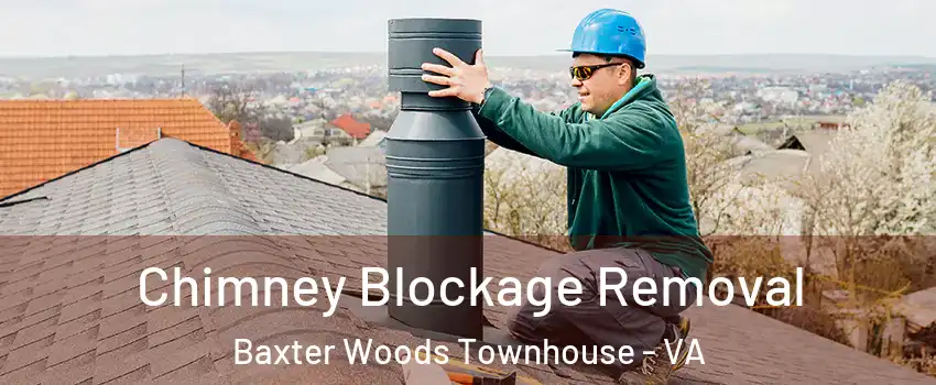 Chimney Blockage Removal Baxter Woods Townhouse - VA