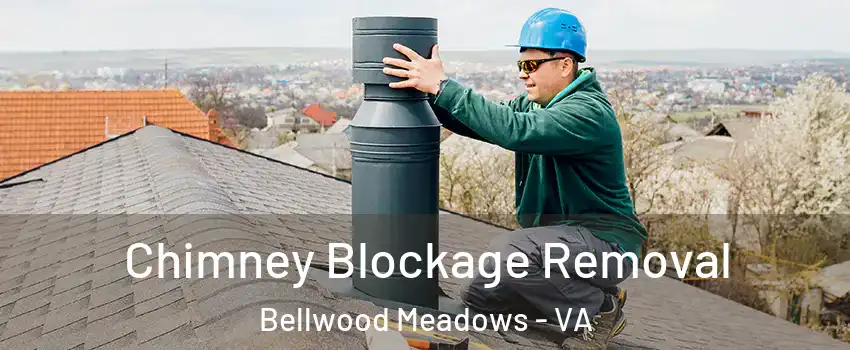 Chimney Blockage Removal Bellwood Meadows - VA