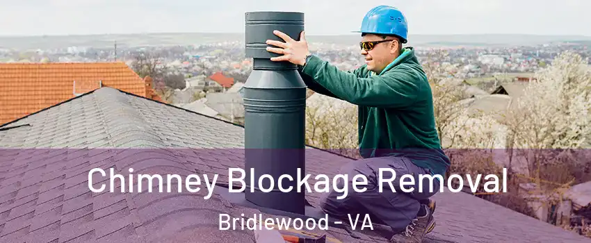 Chimney Blockage Removal Bridlewood - VA
