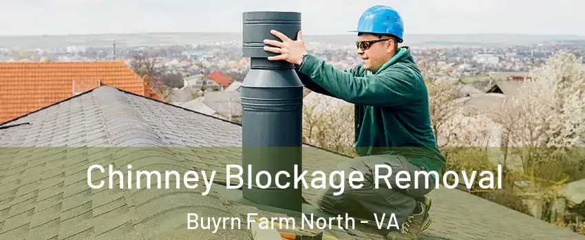 Chimney Blockage Removal Buyrn Farm North - VA