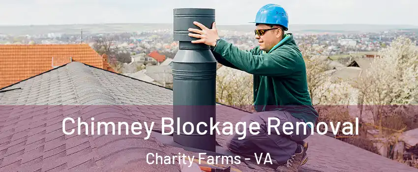 Chimney Blockage Removal Charity Farms - VA