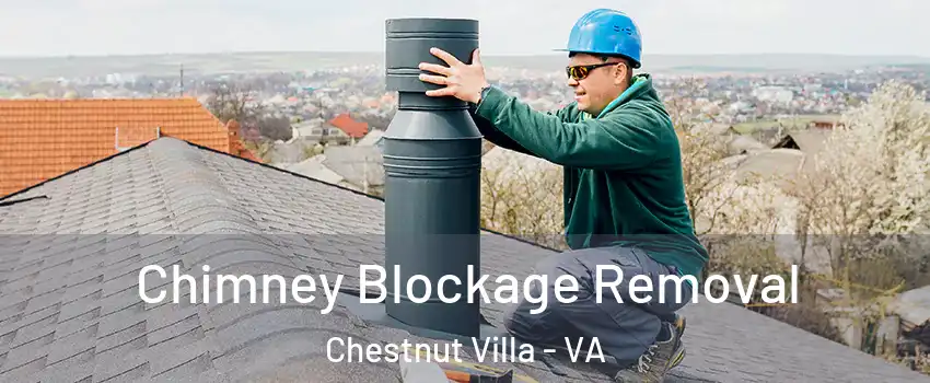 Chimney Blockage Removal Chestnut Villa - VA