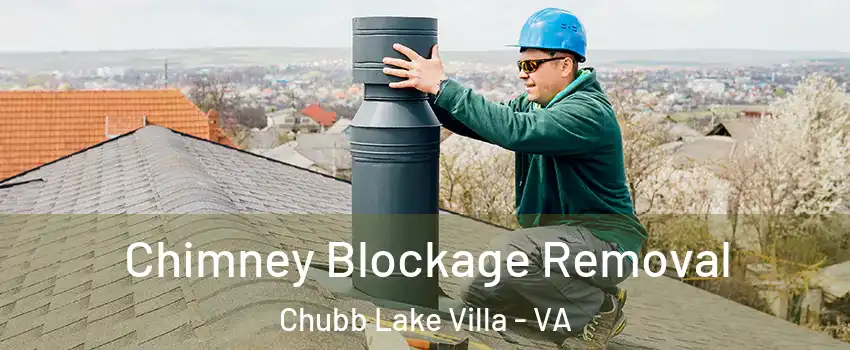 Chimney Blockage Removal Chubb Lake Villa - VA