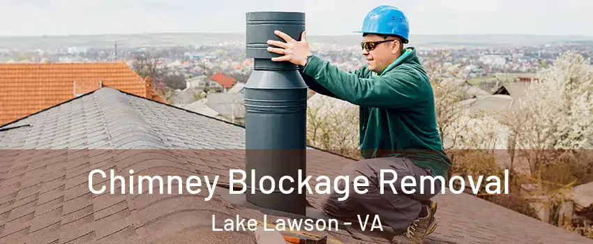 Chimney Blockage Removal Lake Lawson - VA
