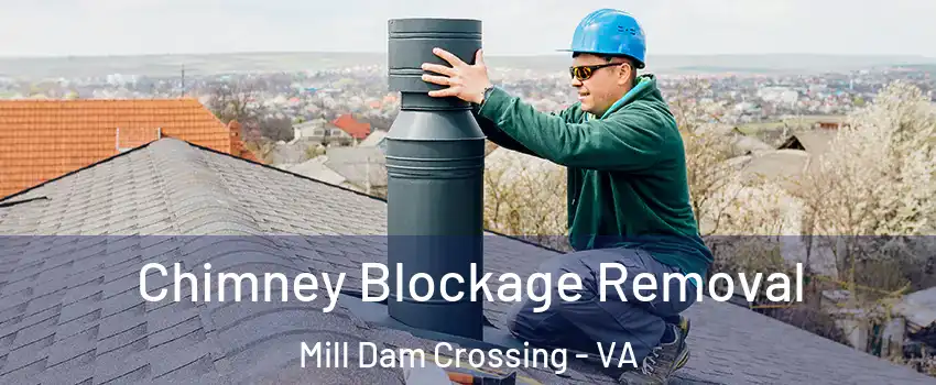 Chimney Blockage Removal Mill Dam Crossing - VA