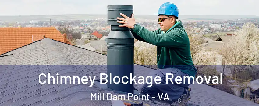 Chimney Blockage Removal Mill Dam Point - VA